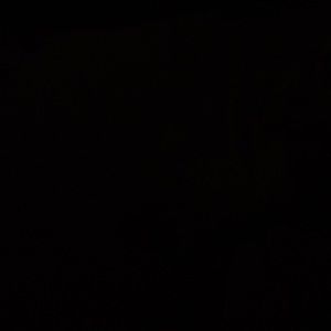 Meet your Posher, Porter